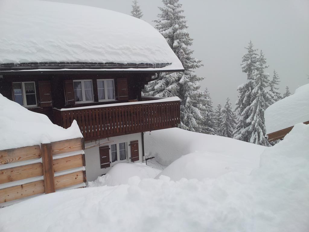 Chalet Grazia Riederalp Exterior foto